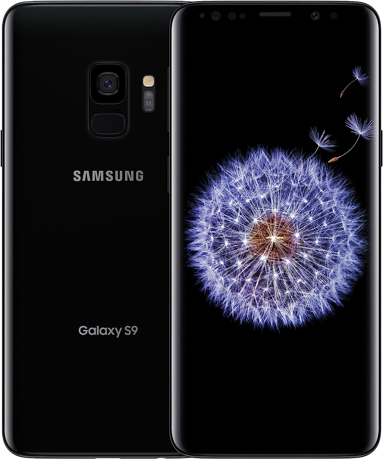 SAMSUNG Galaxy S9+ Factory Unlocked Smartphone 64GB - Coral Blue - US Version [SM-G965UZBAXAA]