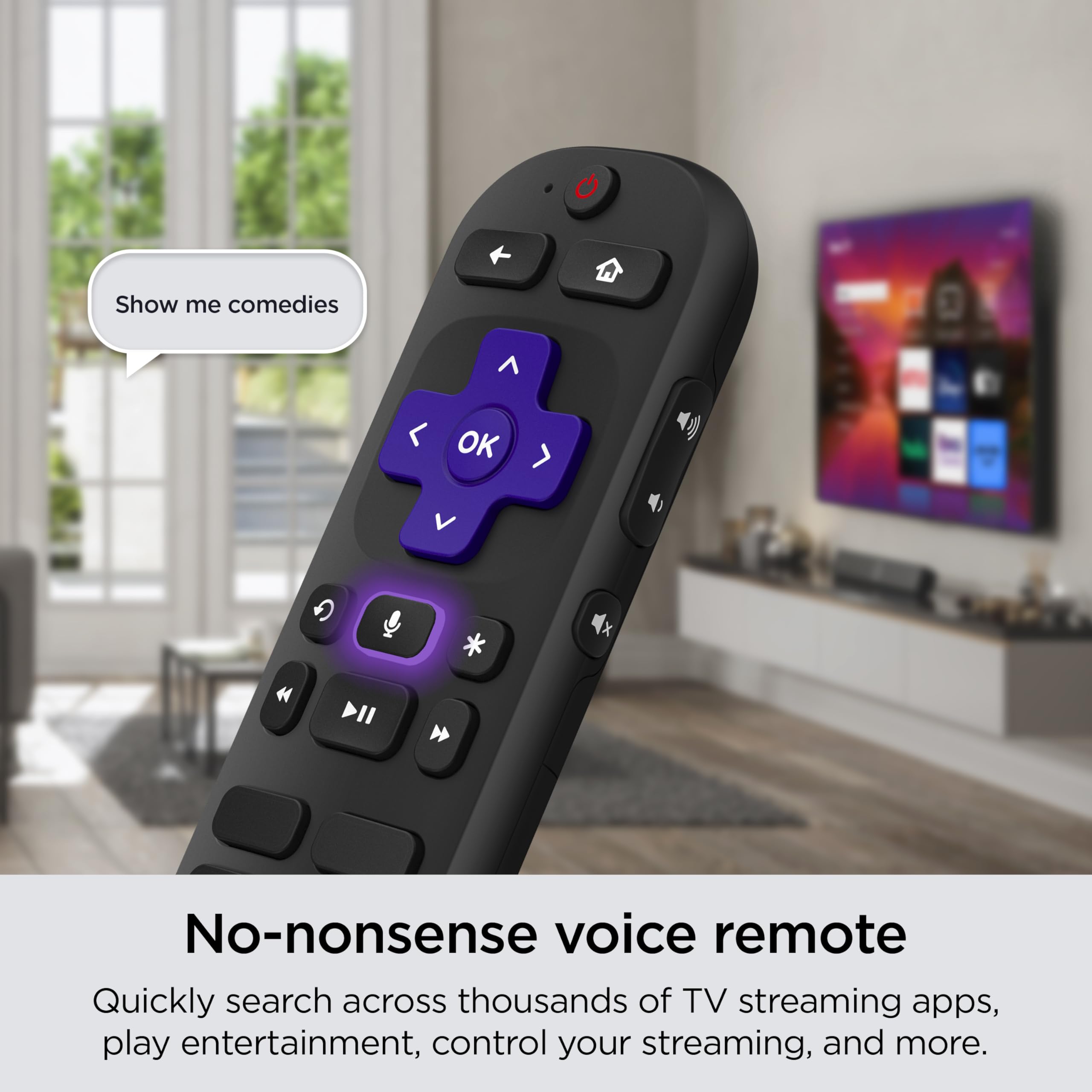 Roku 40